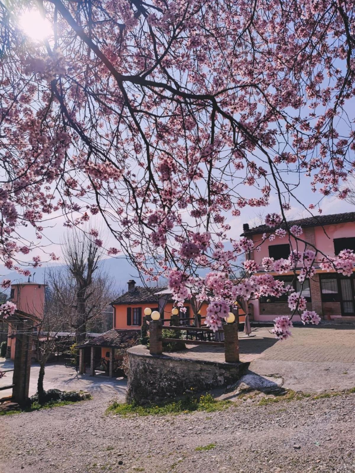 Agriturismo Villa Enrichetta Bettola  Esterno foto